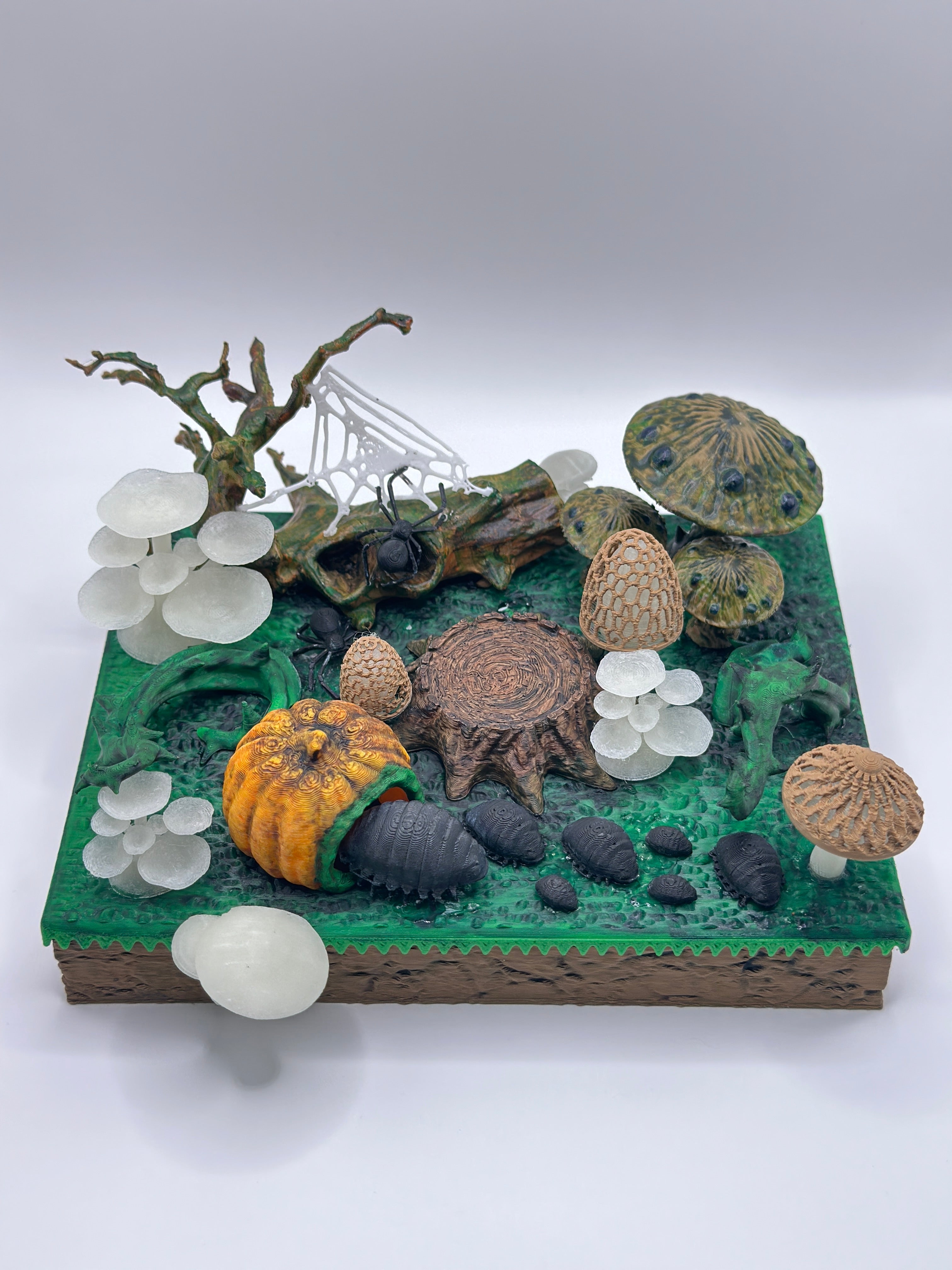 Enchanted Fungi Forest Theme