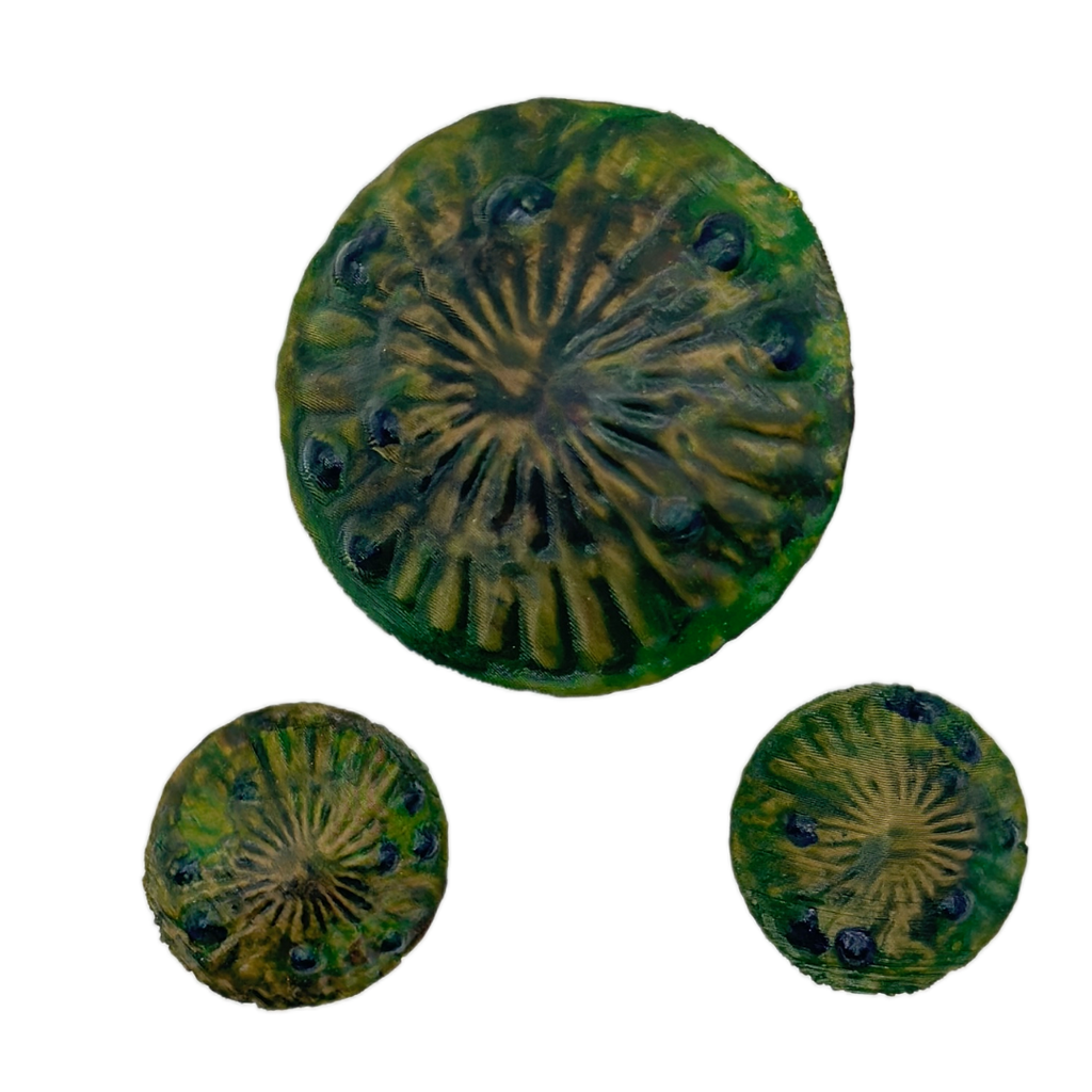 Mystic Forest Mushroom