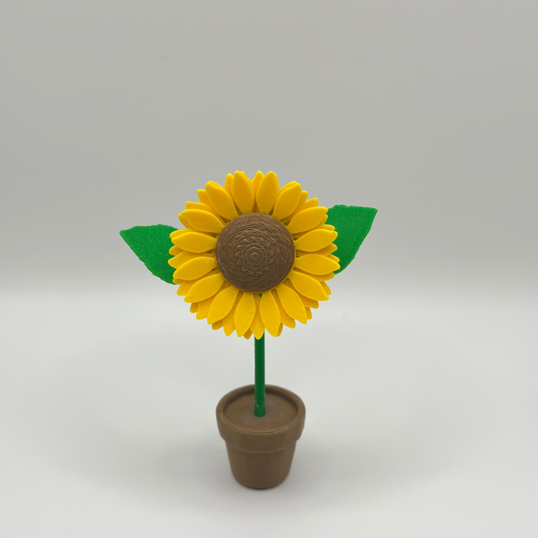 Mini Sunflowers in Tiny Pots