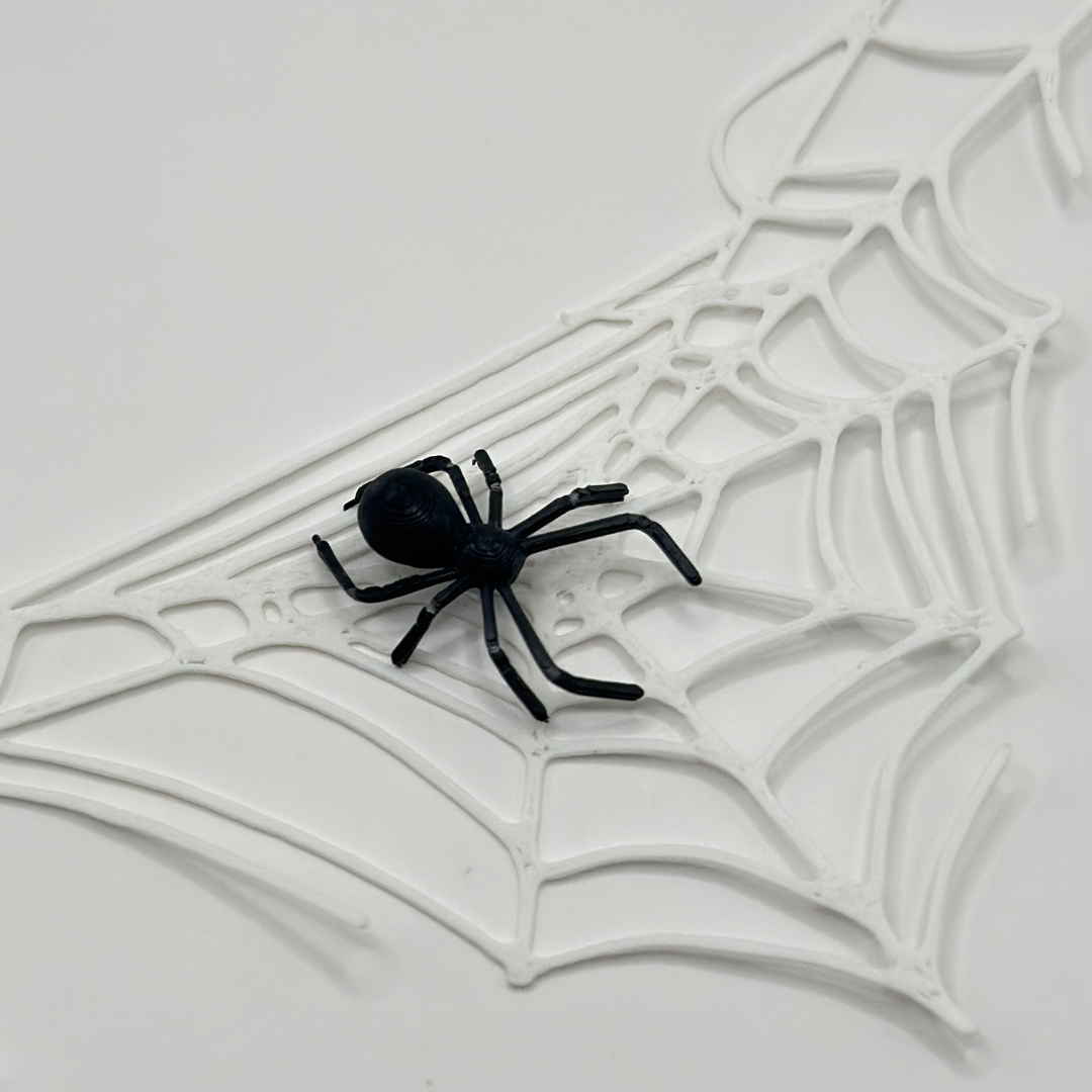 Spider on Web