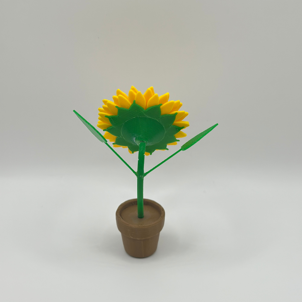 Mini Sunflowers in Tiny Pots