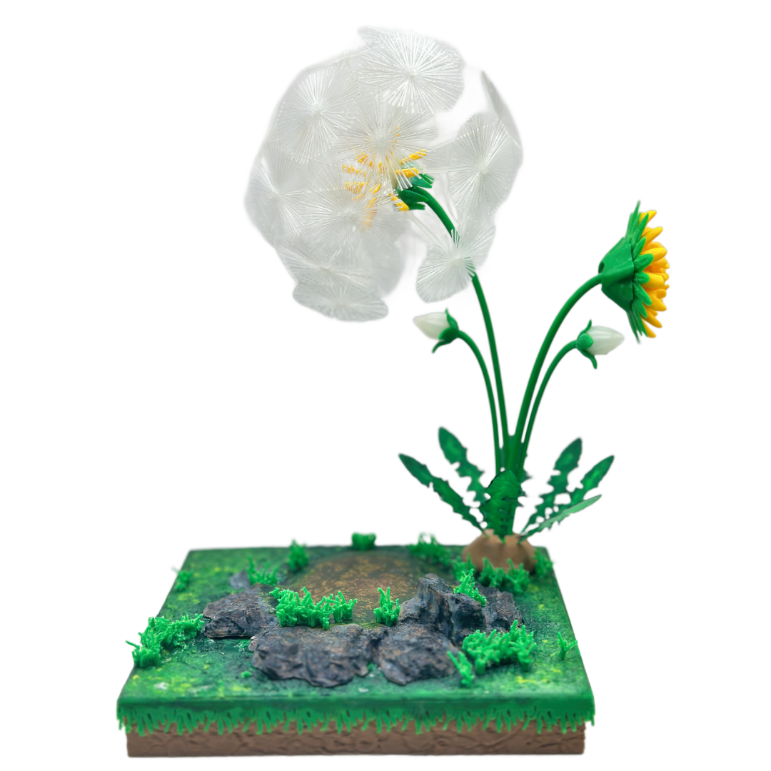 Dandelion Dreamscapes Display Scene