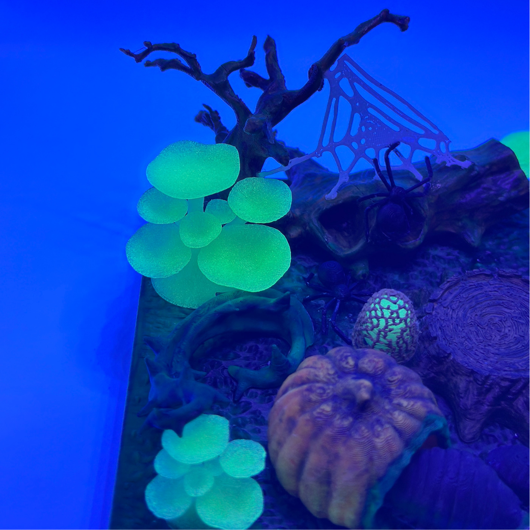 Enchanted Fungi Forest Display Scene