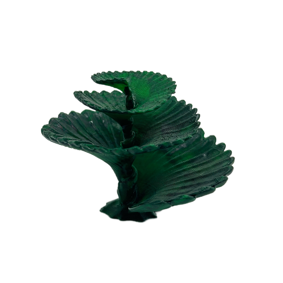 Spiral Jungle Leaf Plant