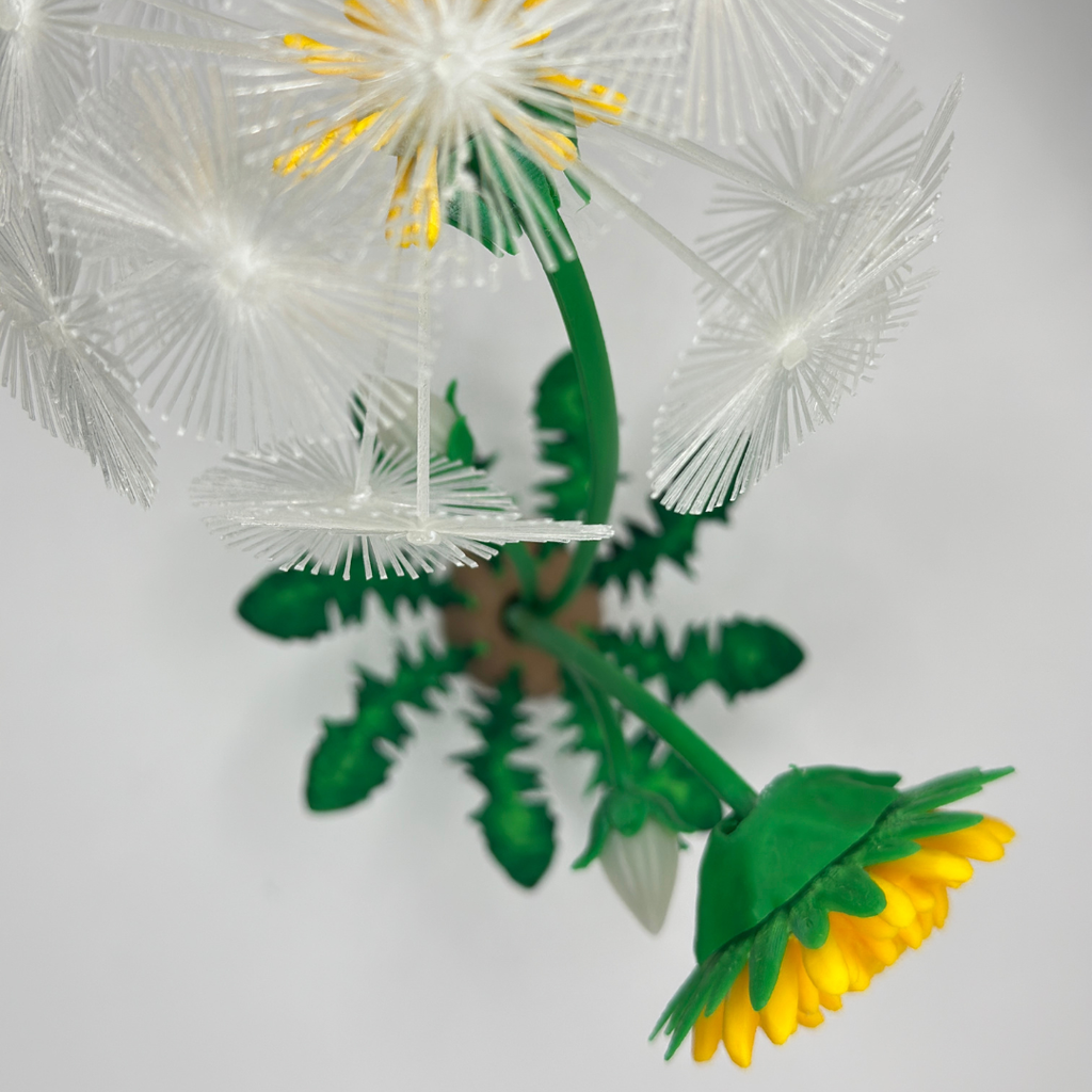 GlowWish Dandelion Light Sculpture