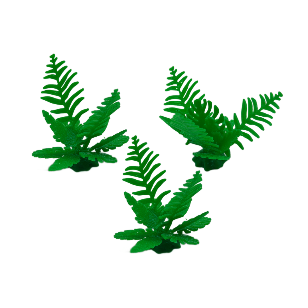Mini Fern Trio