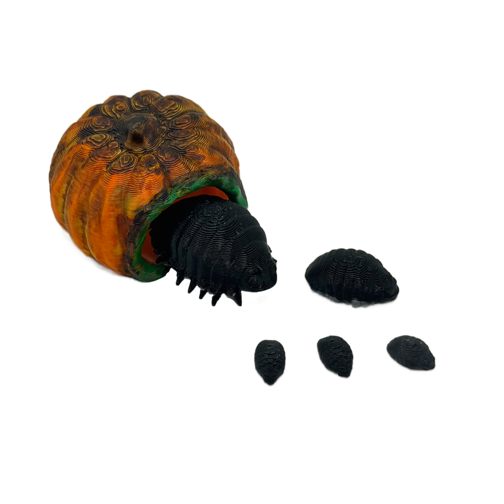 Pumpkin Parasite with Larvae