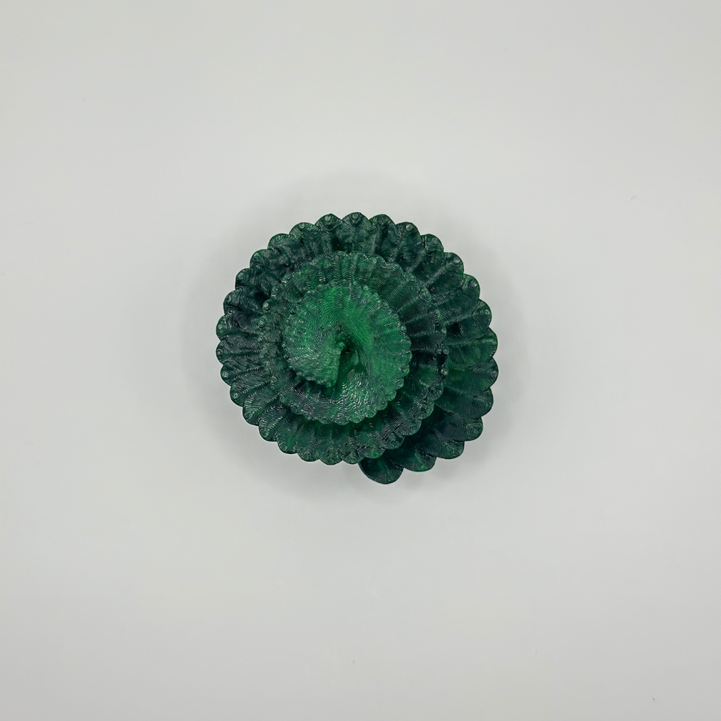 Spiral Jungle Leaf Plant