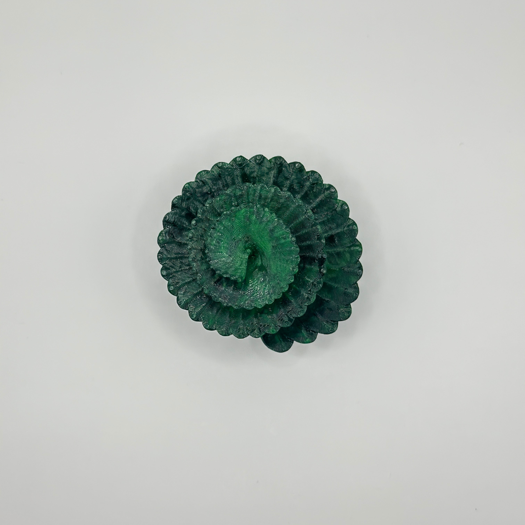 Spiral Jungle Leaf Plant