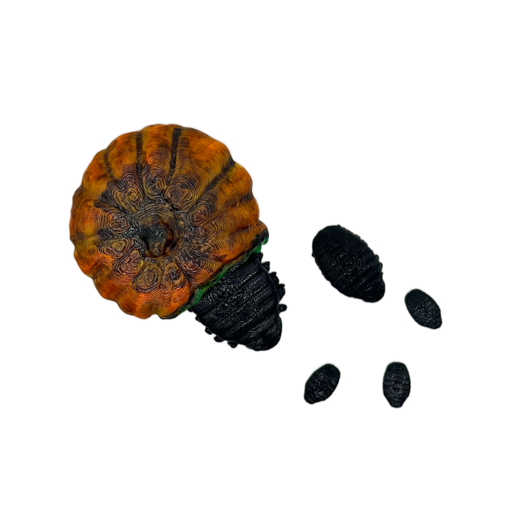 Pumpkin Parasite with Larvae