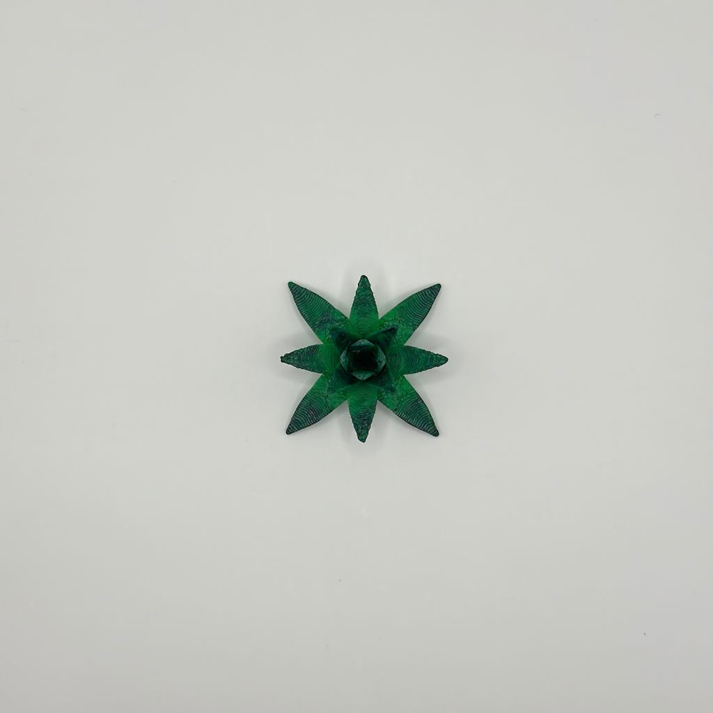 Desert Spike Leaf Plant