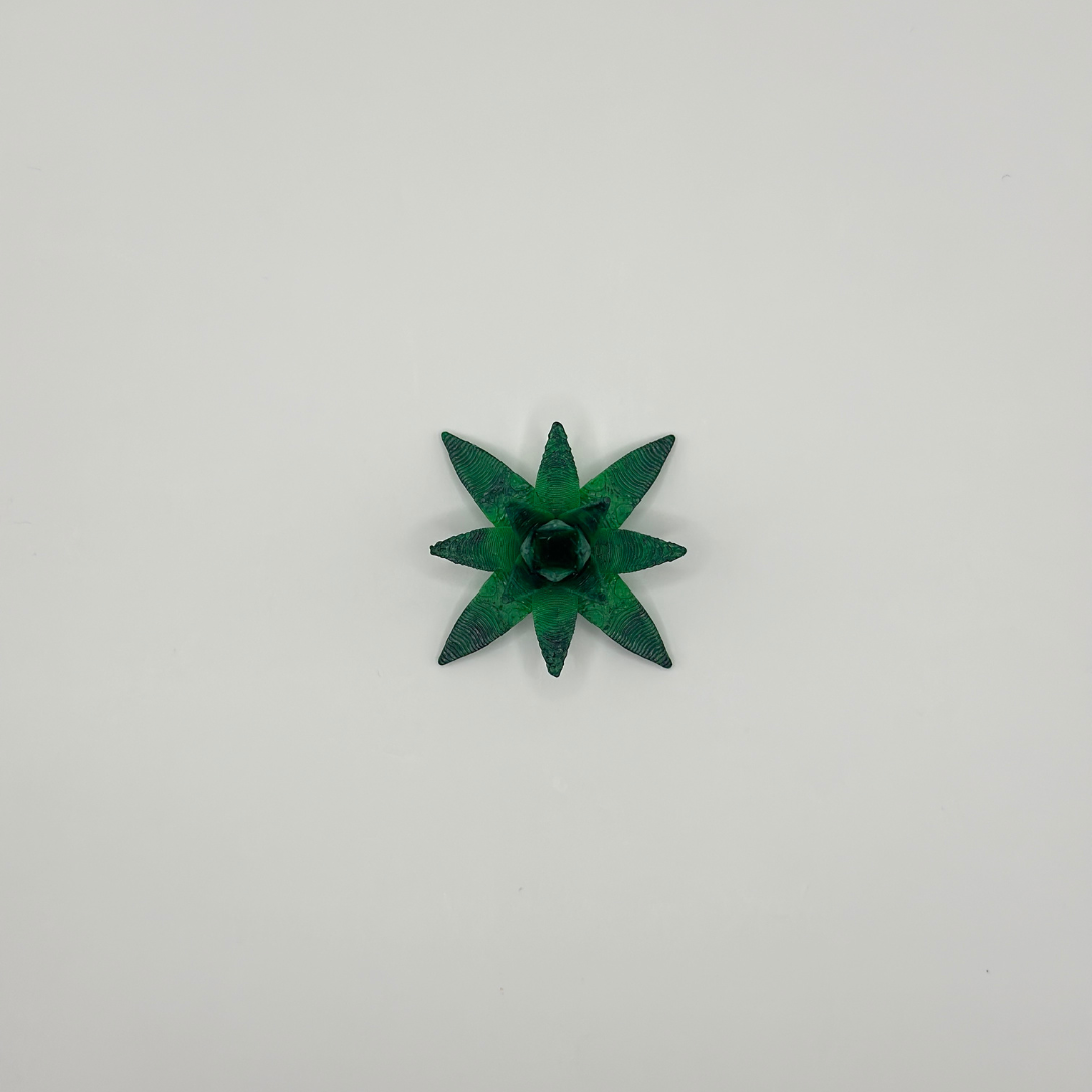 Desert Spike Leaf Plant