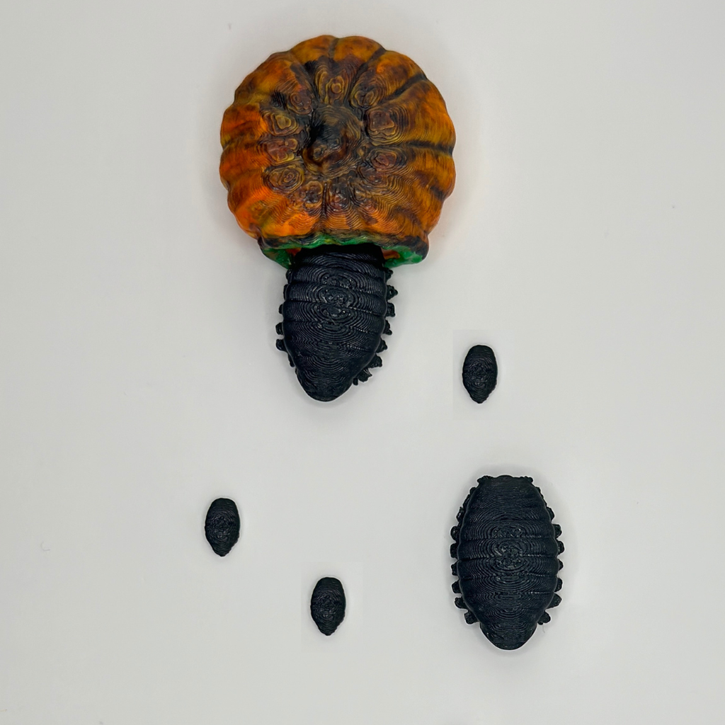 Pumpkin Parasite with Larvae