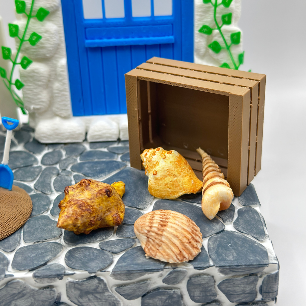 Mini Shell Collection in Wooden Crate