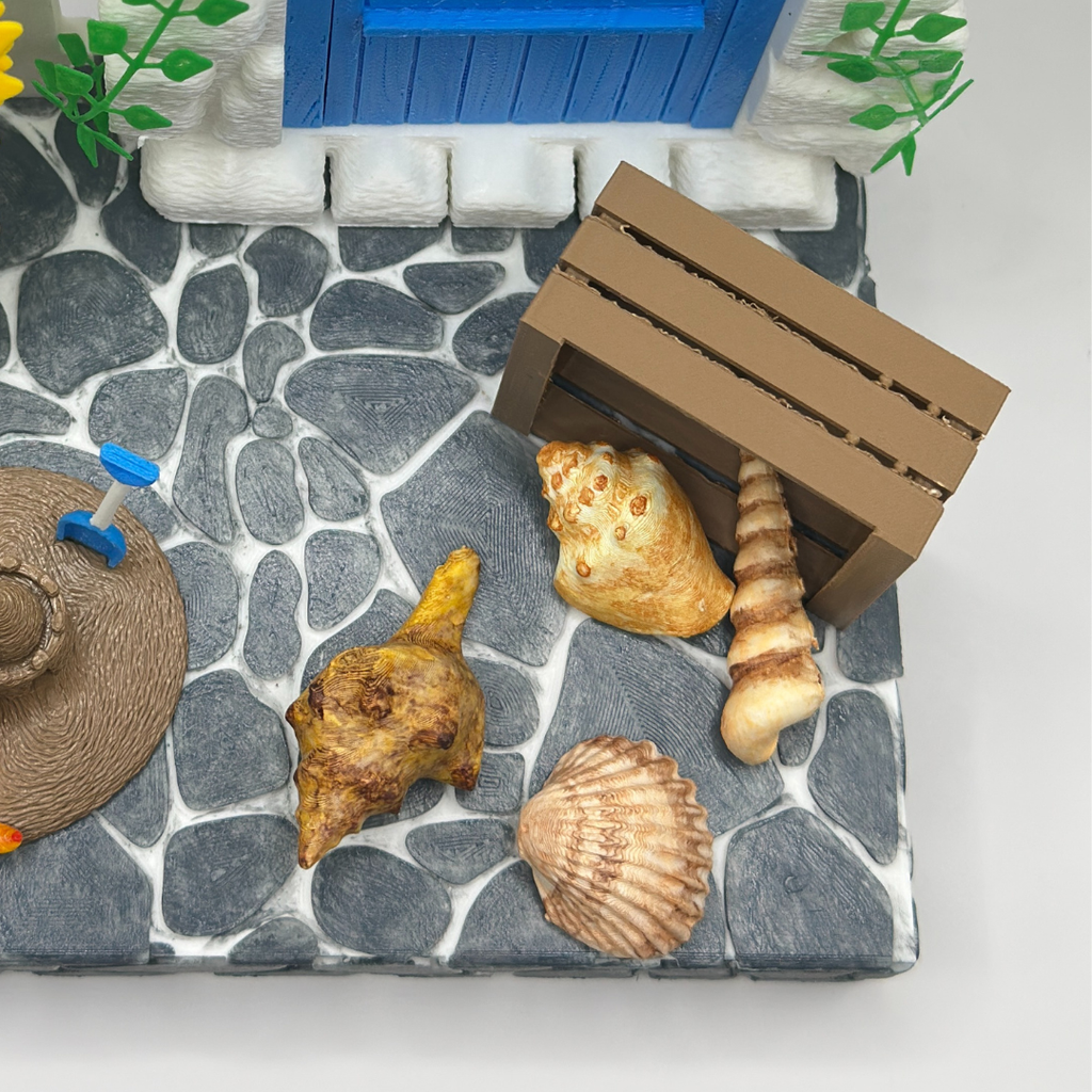 Mini Shell Collection in Wooden Crate